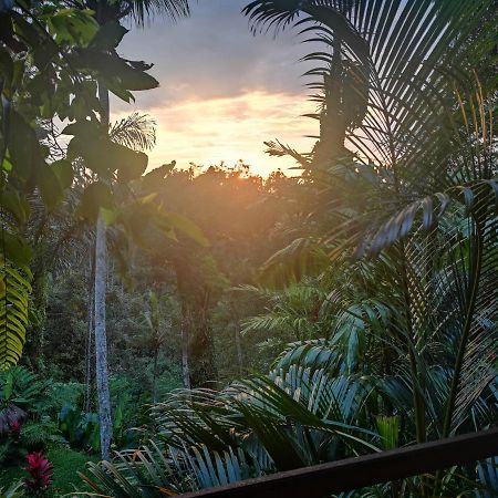 Villa Rimba Ubud Тегаллаланг Экстерьер фото