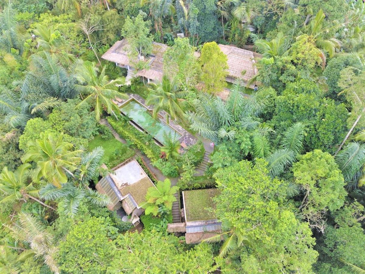 Villa Rimba Ubud Тегаллаланг Экстерьер фото