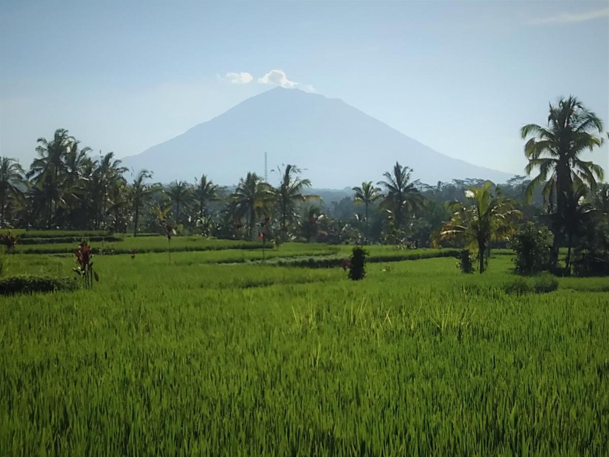 Villa Rimba Ubud Тегаллаланг Экстерьер фото