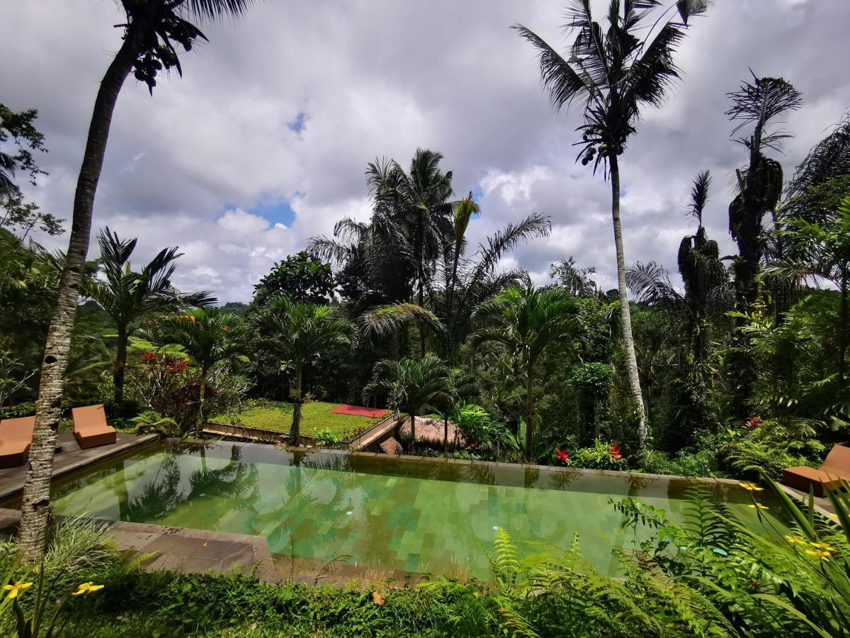 Villa Rimba Ubud Тегаллаланг Экстерьер фото