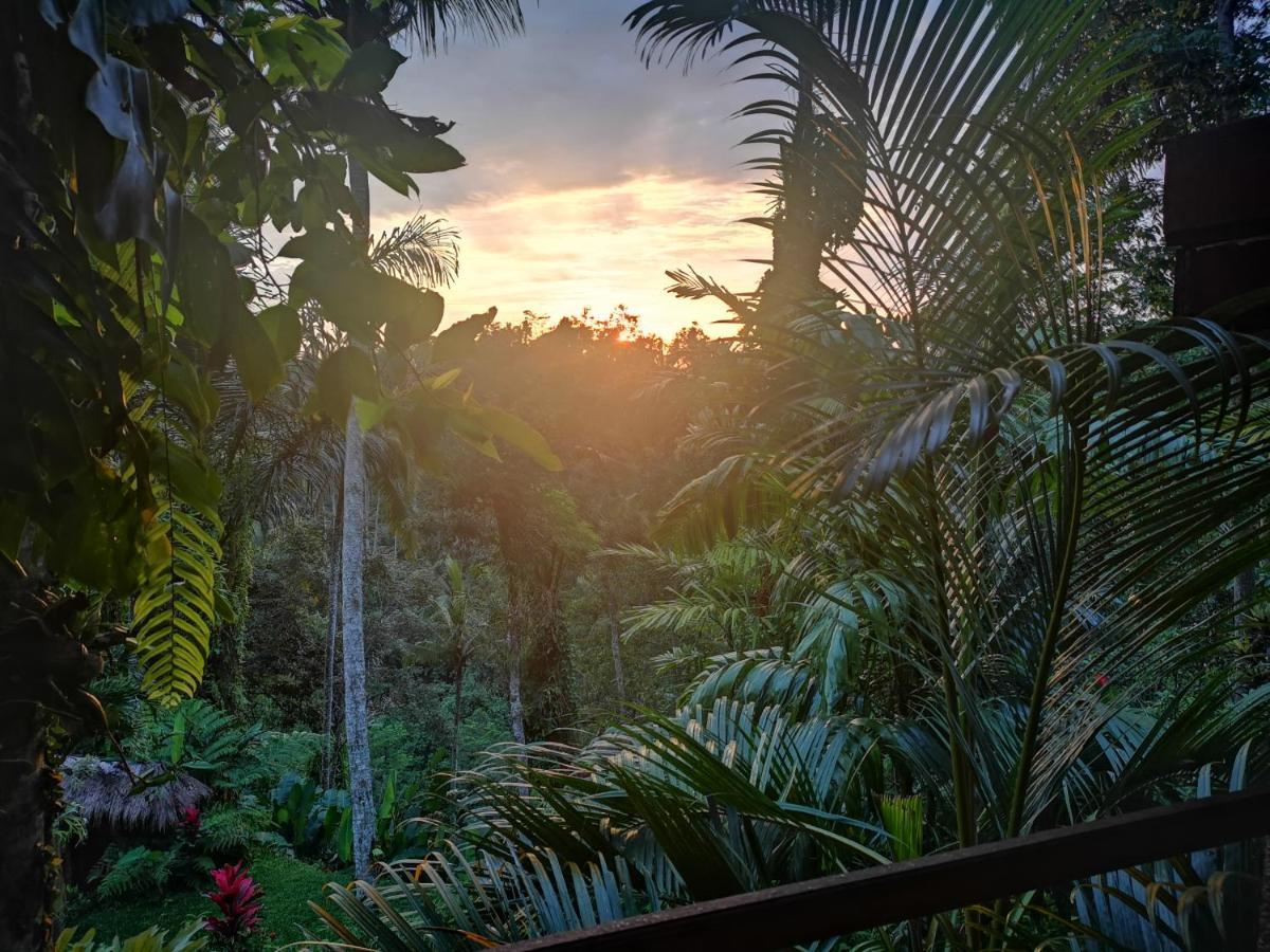 Villa Rimba Ubud Тегаллаланг Экстерьер фото