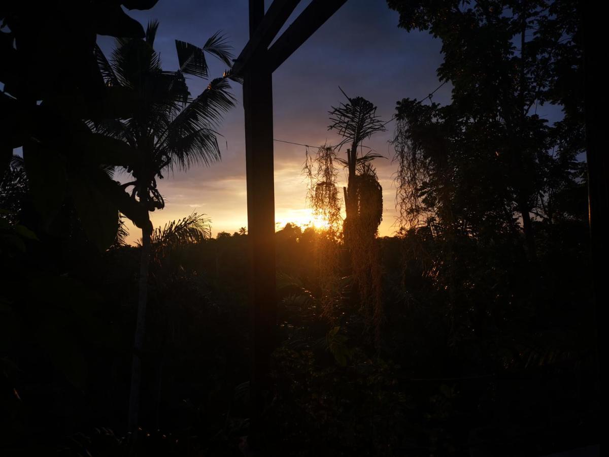 Villa Rimba Ubud Тегаллаланг Экстерьер фото