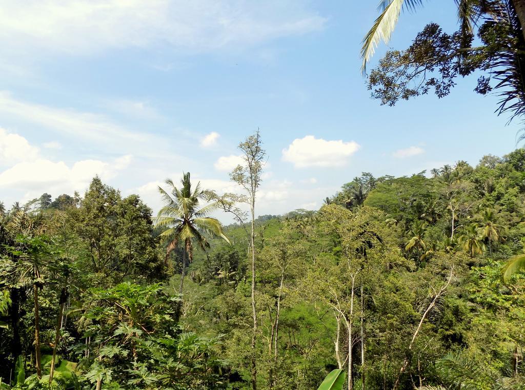 Villa Rimba Ubud Тегаллаланг Экстерьер фото